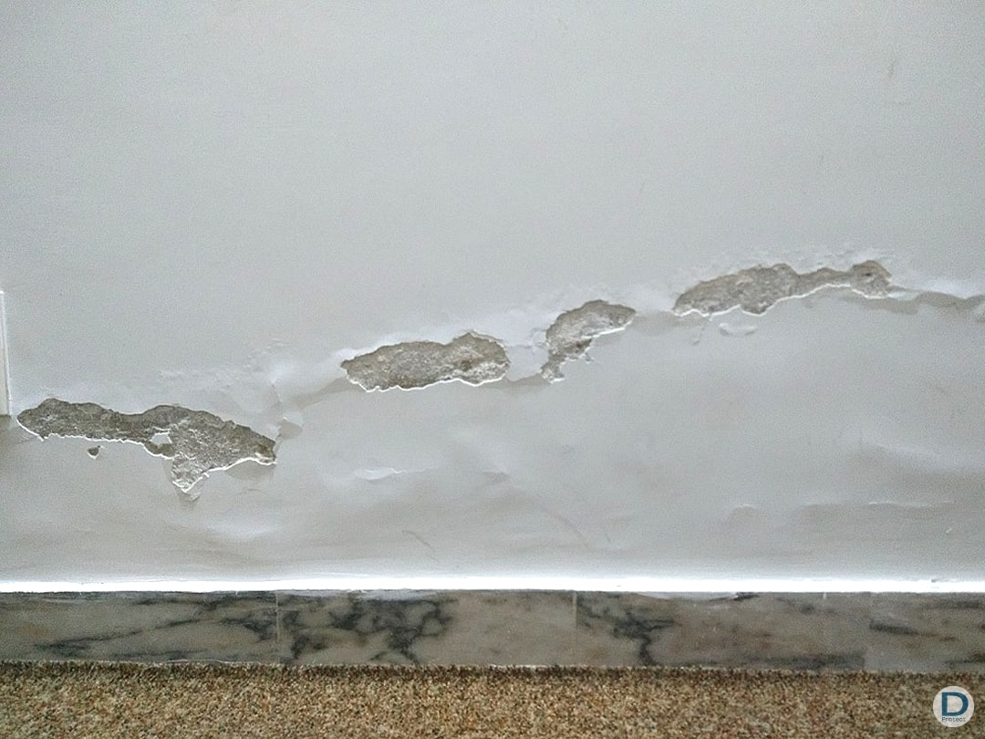 problème humidité pièce maison entreprise liege brabant wallon